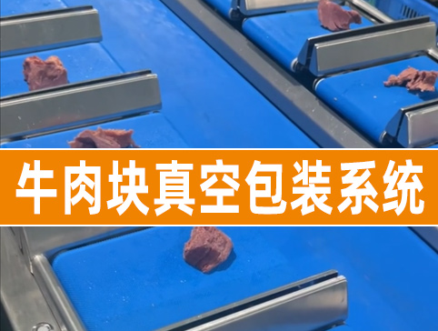 牛肉块真空包装系统